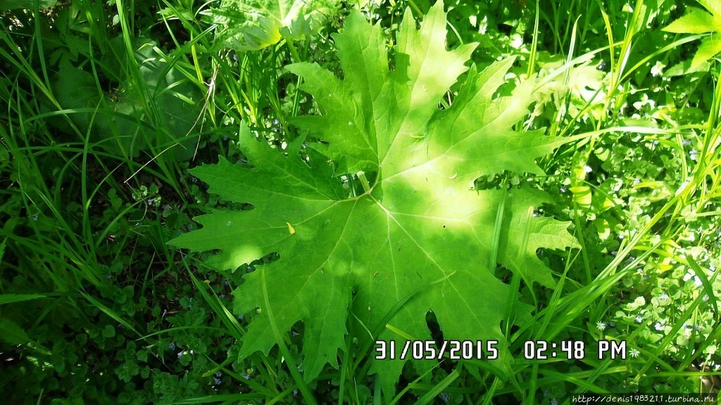 Облучье Облучье, Россия