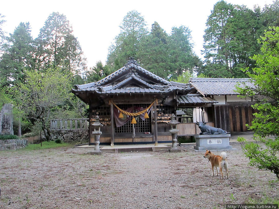 Этот синтоиский храм я встретил в лесу вдоль тракта. Префектура Гифу, Япония