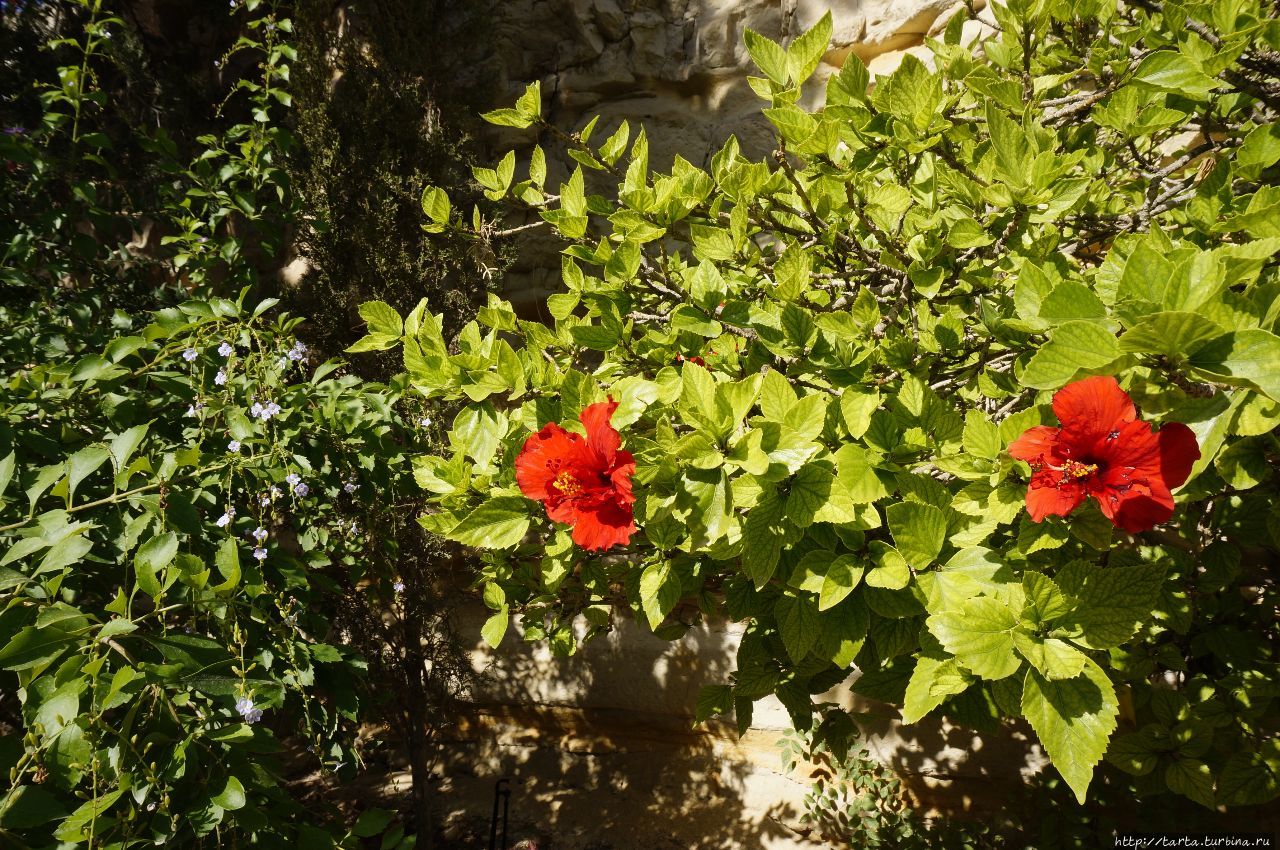 Монастырь со странным названием Агиос Атанасиос, Кипр