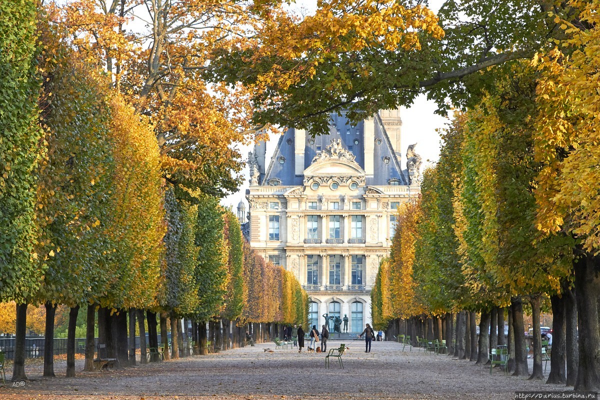 Париж 2018 — Сад Тюильри Париж, Франция