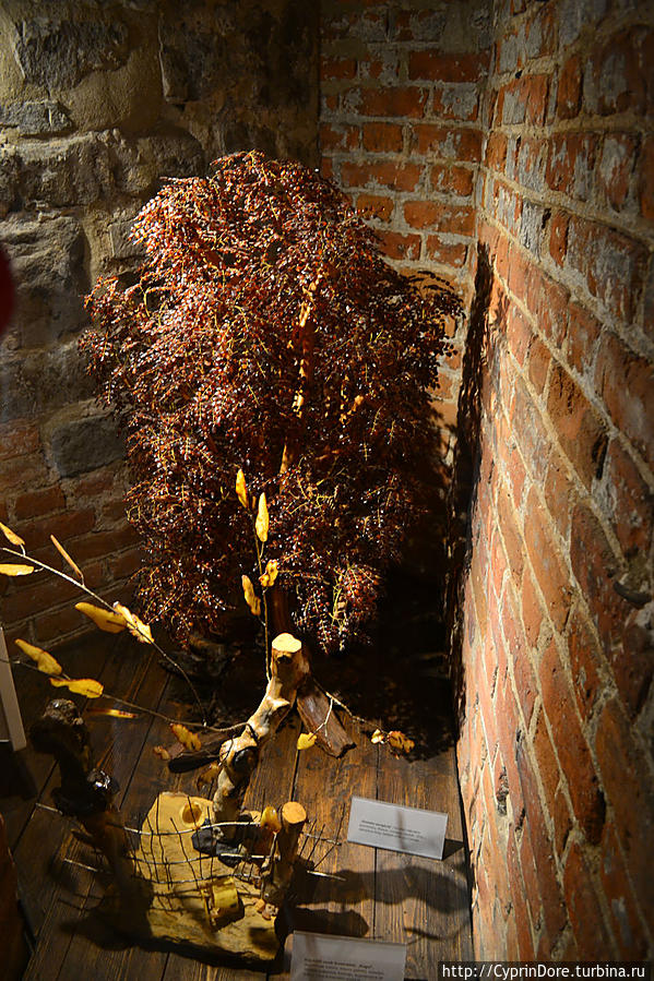 Музей янтаря в Старом городе Гданьск, Польша