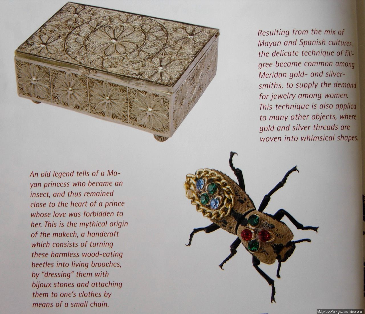 Живые украшения из жуков / Decoración de escarabajo vivo