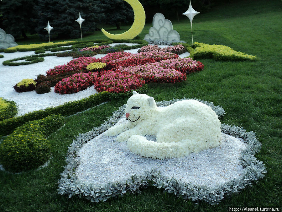 Белый кот сделан из белых хризантем Киев, Украина