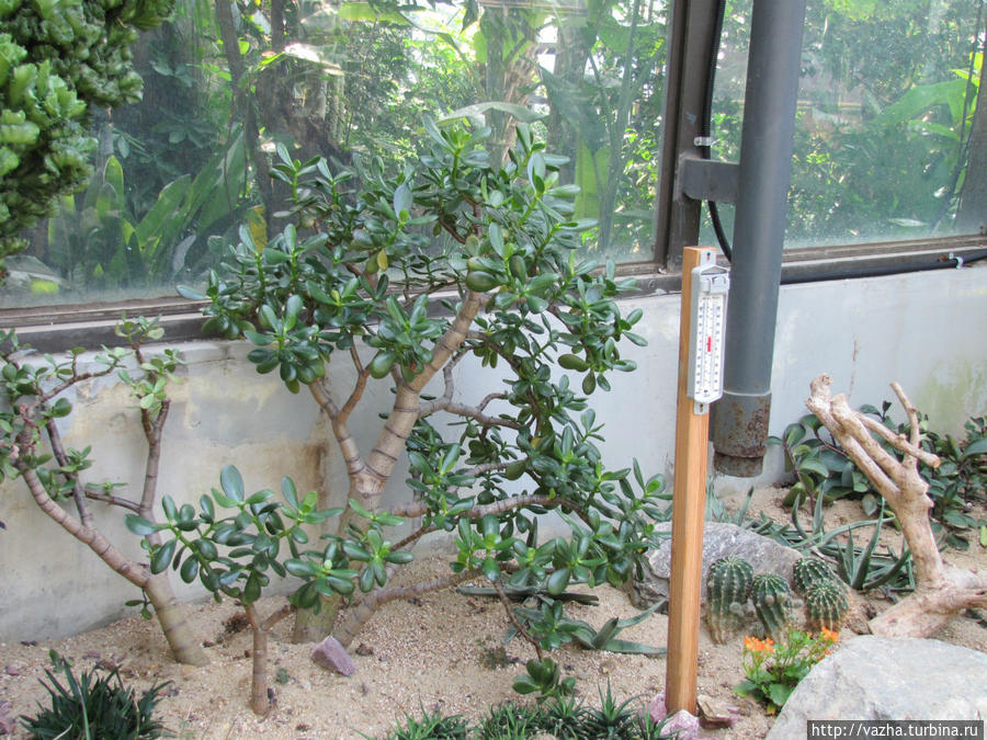 Зоопарк Сеула. Третья часть. Сеул, Республика Корея