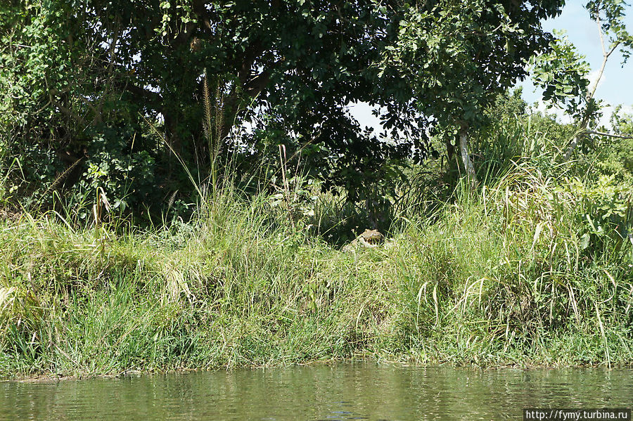 От Кампалы на север Уганда