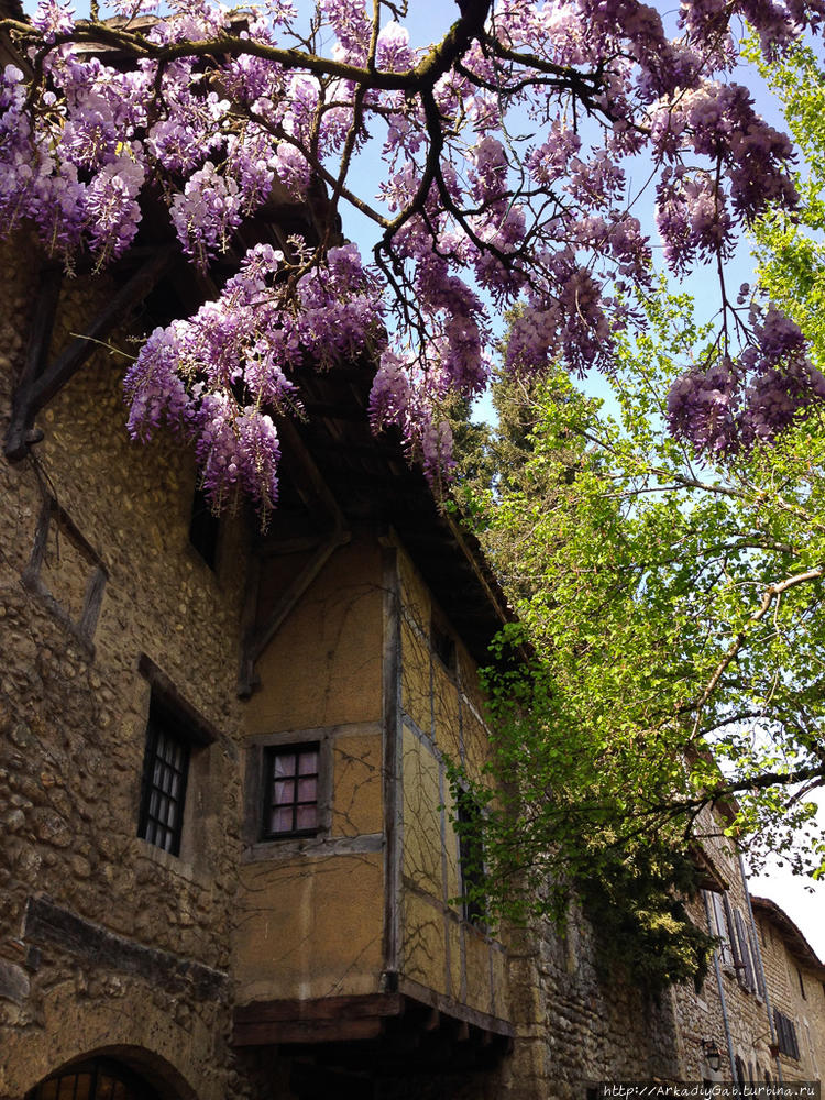 Процветающий — это наверн