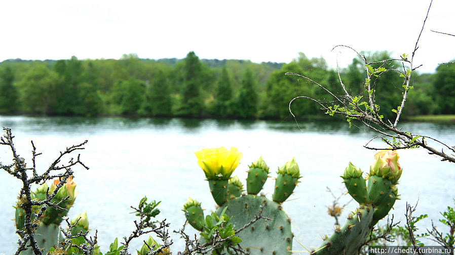 Комал парк. Пригород Сан Антонио.
