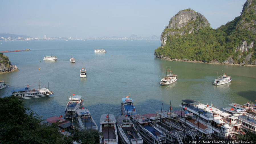 Остров и бухта Дау Го Халонг бухта, Вьетнам
