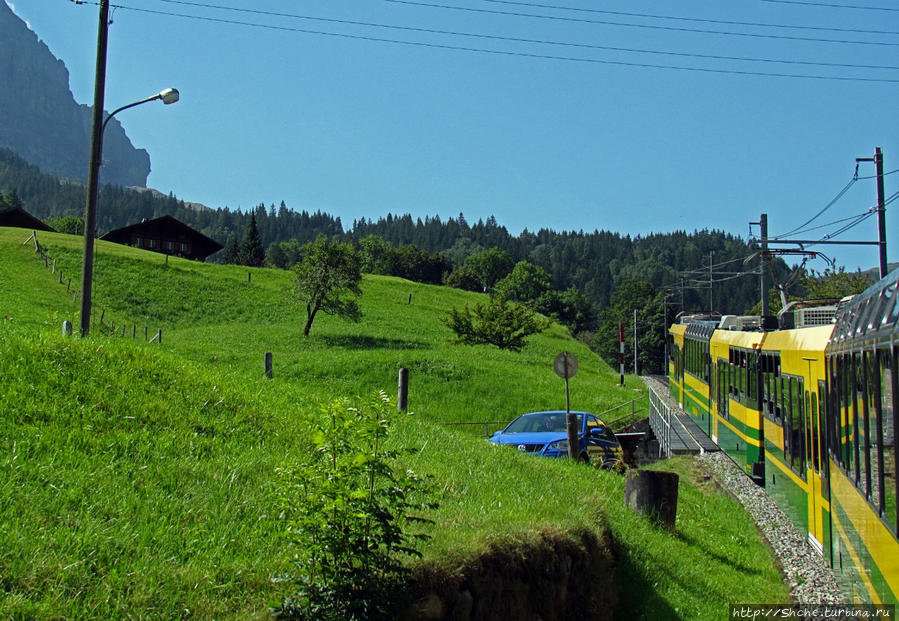 Зеленые Бернские Альпы. На поезде летом Кантон Берн, Швейцария