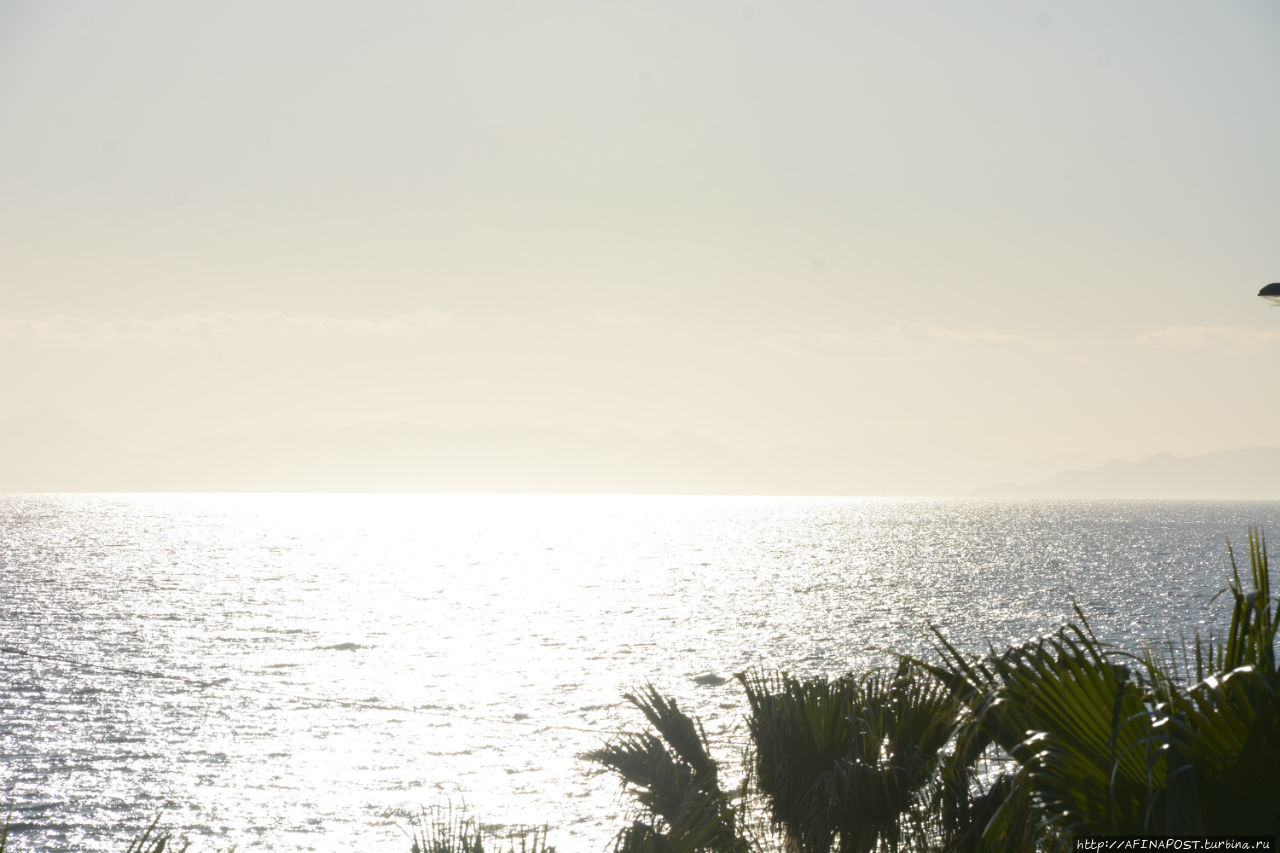 Все оттенки серого