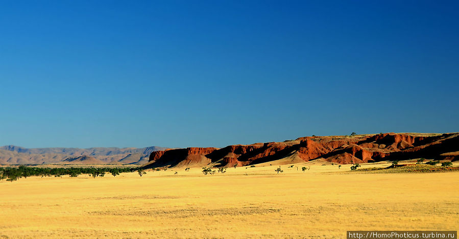 Сердце Намиба: окаменелые дюны Заповедник Намибрэнд, Намибия