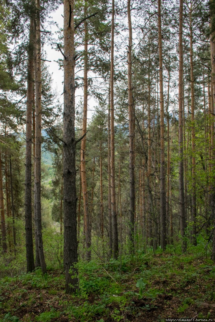 смотровая площадка 