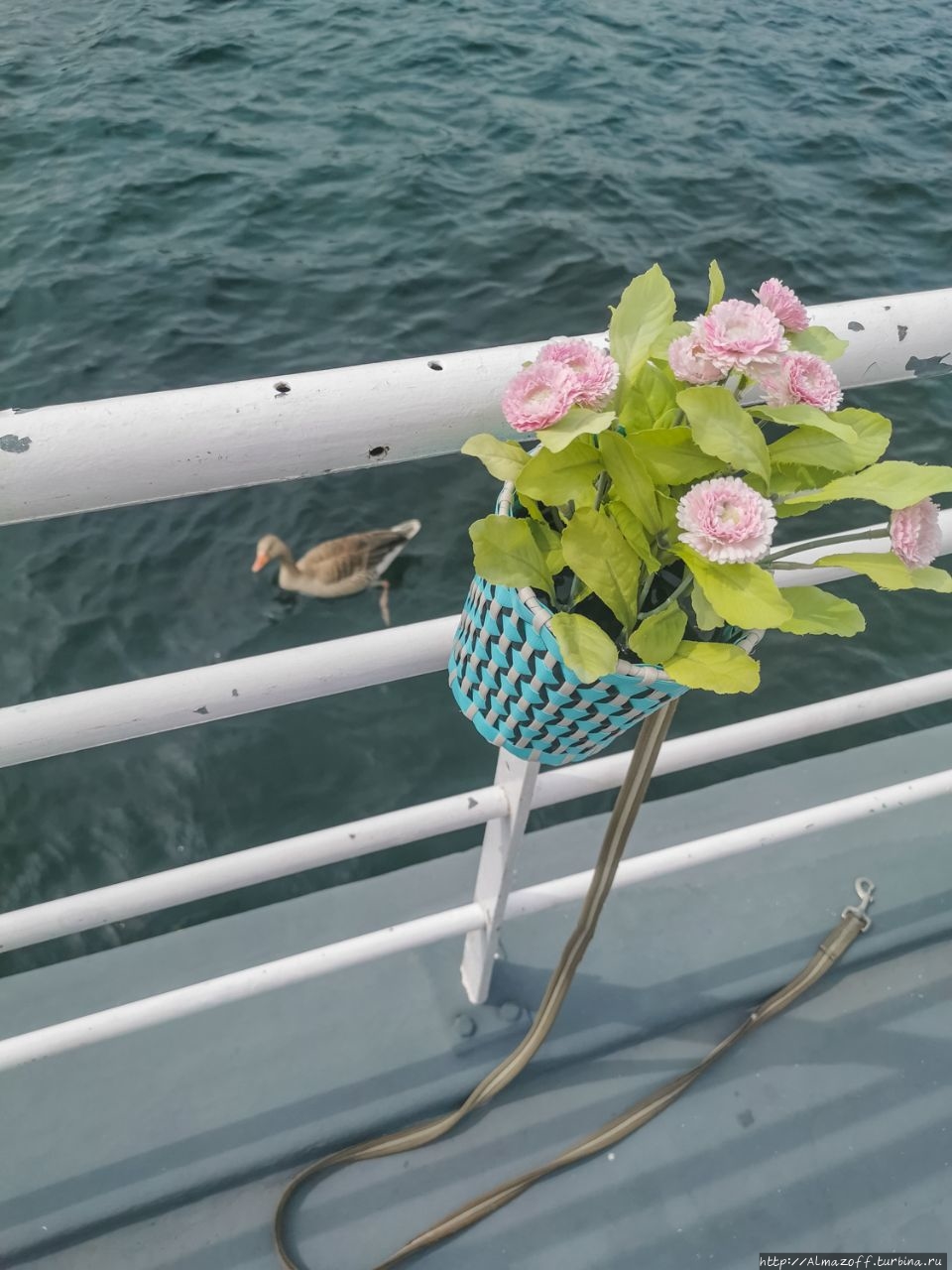 Остров Бюгдой Осло, Норвегия Остров Бюгдой Осло, Норвегия