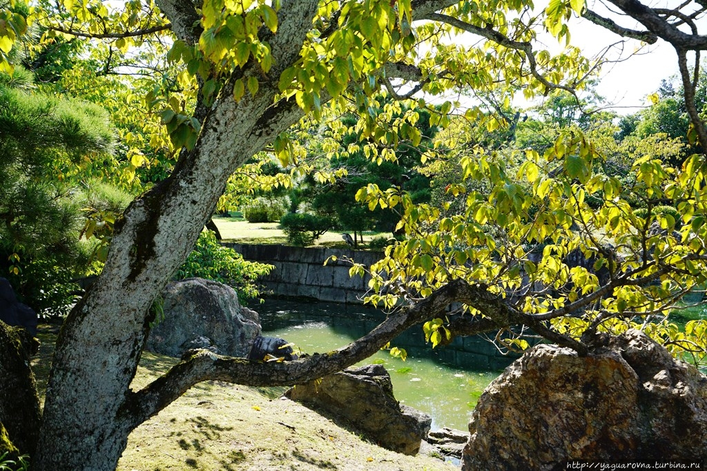 Нинна-дзи храмовый комплекс Киото, Япония Нинна-дзи храмовый комплекс Киото, Япония