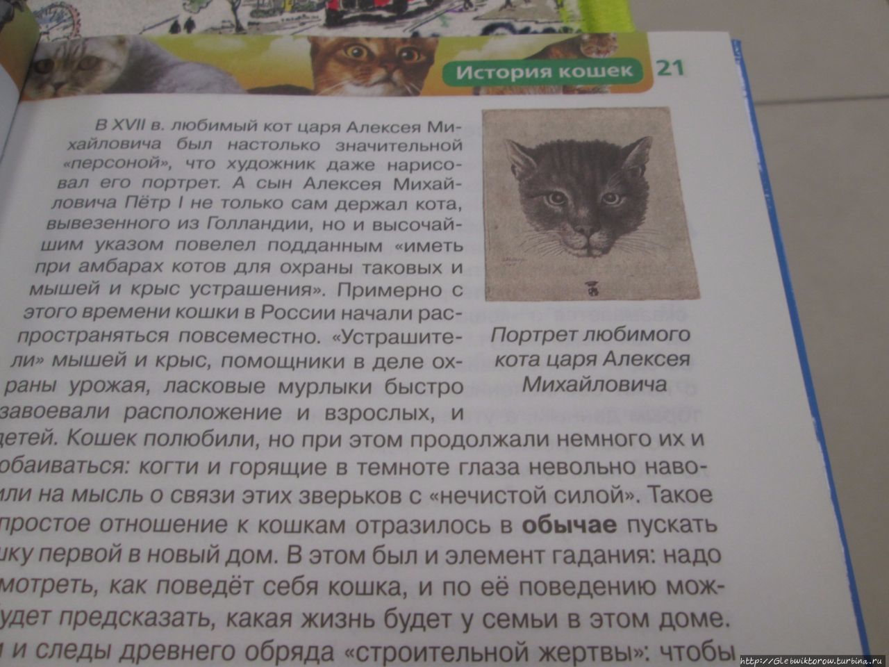 Рассказ Кошка Маруська
