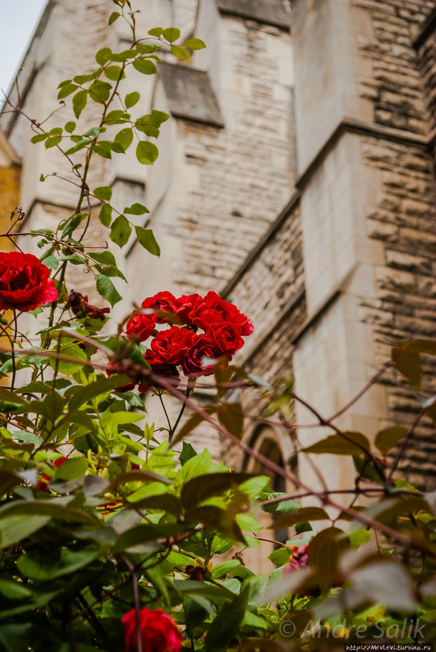 Пасмурное лондонское утро Лондон, Великобритания