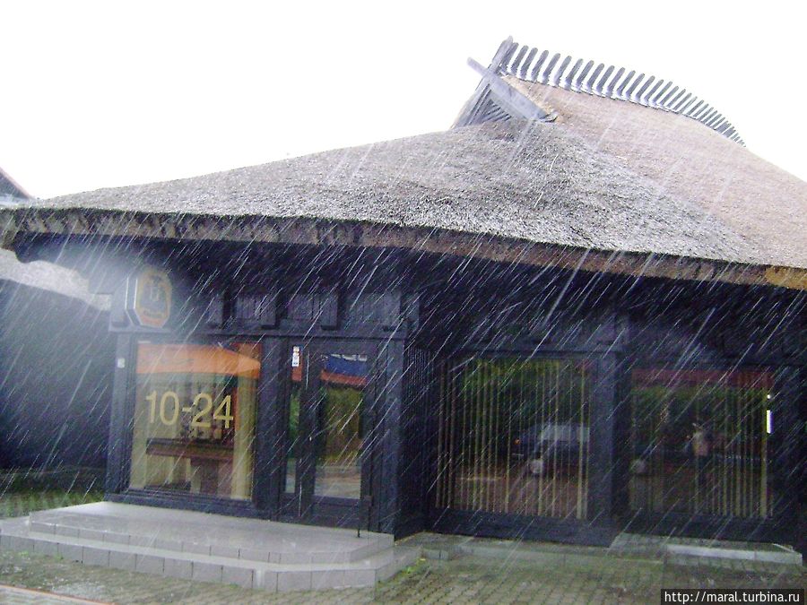 Томас Манн в дождь пил чай, кофе или шнапс под крышей дома своего, мы зашли в кафе — заодно и пообедали Неринга, Литва