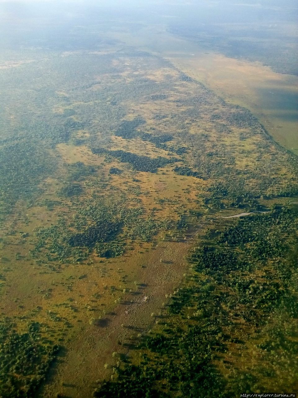 Моя саванна Заказник Селус, Танзания