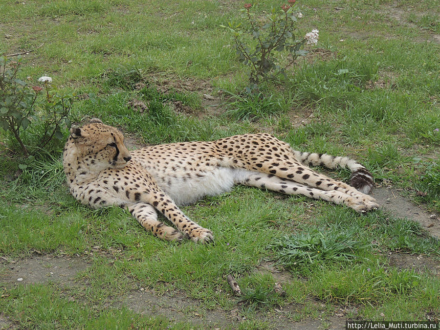 Лиссабонский ZOO-Дом Лиссабон, Португалия