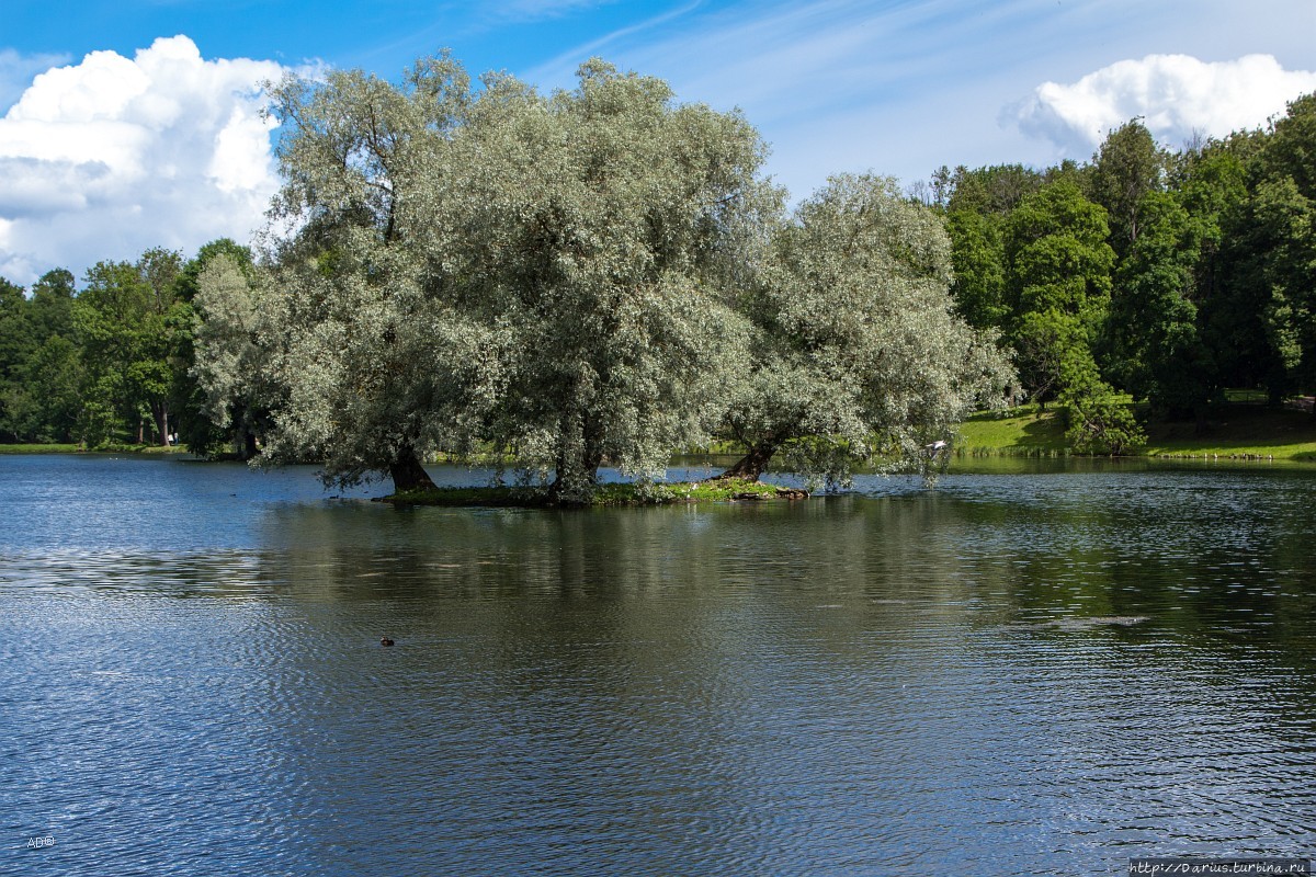 Гатчина Гатчина, Россия