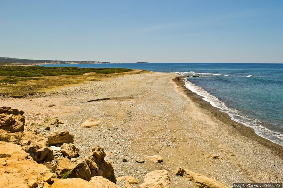 До пляжа, вдоль берега моря, вьется живописная дорога. Несмотря на предупреждения путеводителей, замечу, что дорога вполне проезжаема, даже на малолитражке. Акамас полуостров Национальный Парк, Кипр