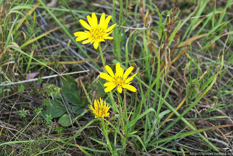 Майданек Люблин, Польша