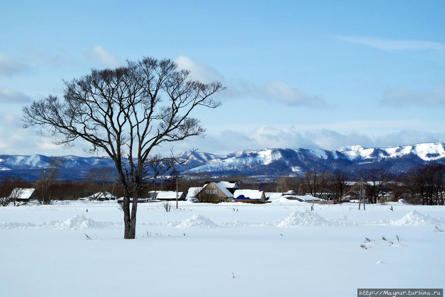 Зимние  зарисовки Южно-Сахалинск, Россия