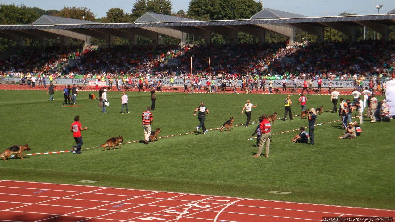 Зигер в Ульме Ульм, Германия