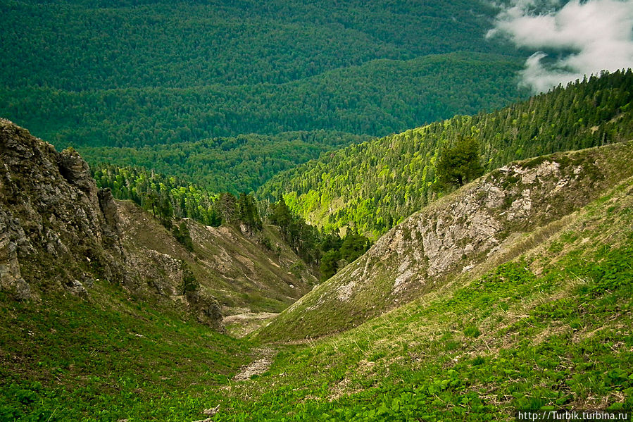 Взад-вперёд по Берчилю Цандрипш, Абхазия