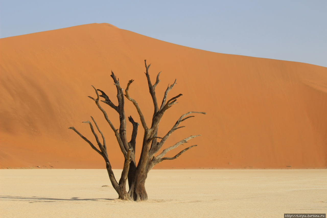 Намибия. Deadvlei