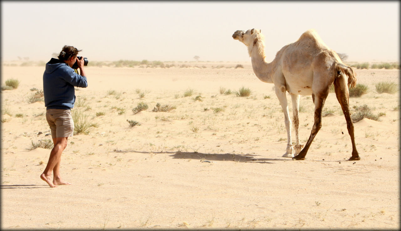 Групповое путешествие в Мавританию ч.1 Мавритания
