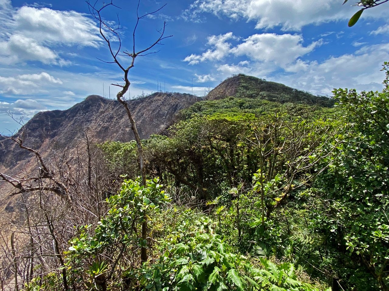 Тропа Пума Вулкан-Момбачо заповедник, Никарагуа