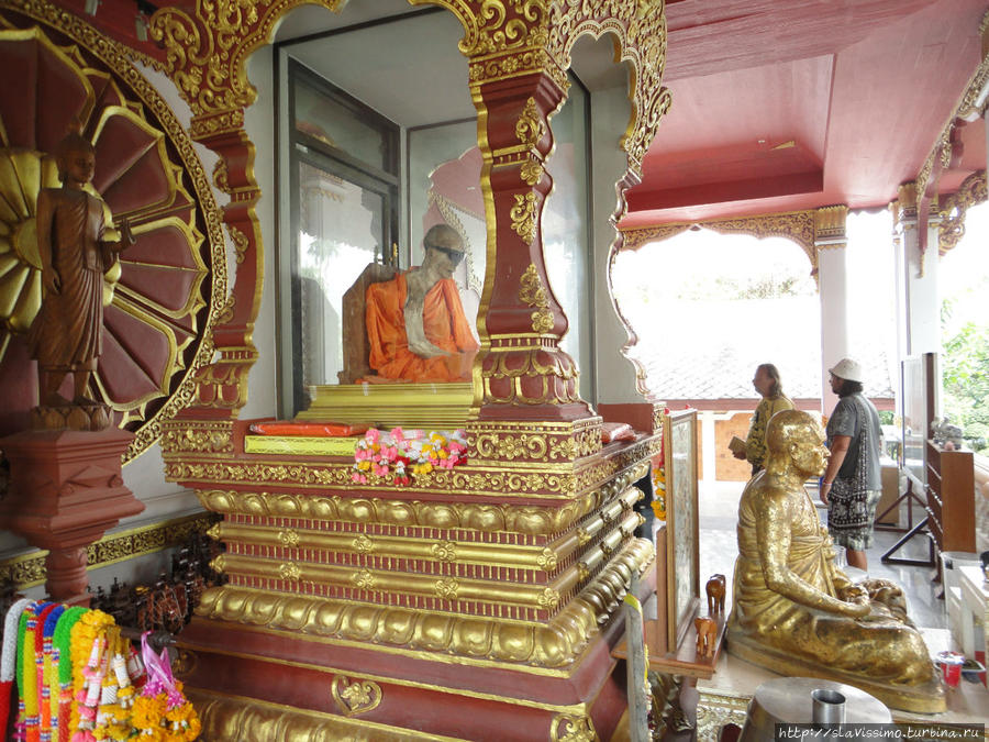 Мумифицированный монах! Таиланд