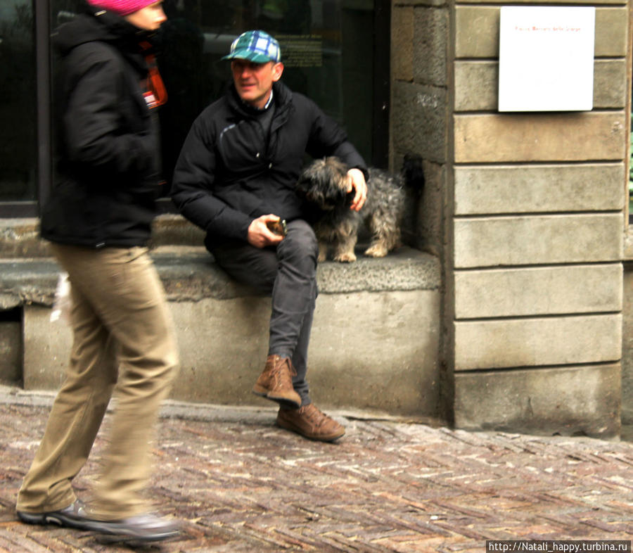 Четвероногие  жители города-музея Бергамо, Италия