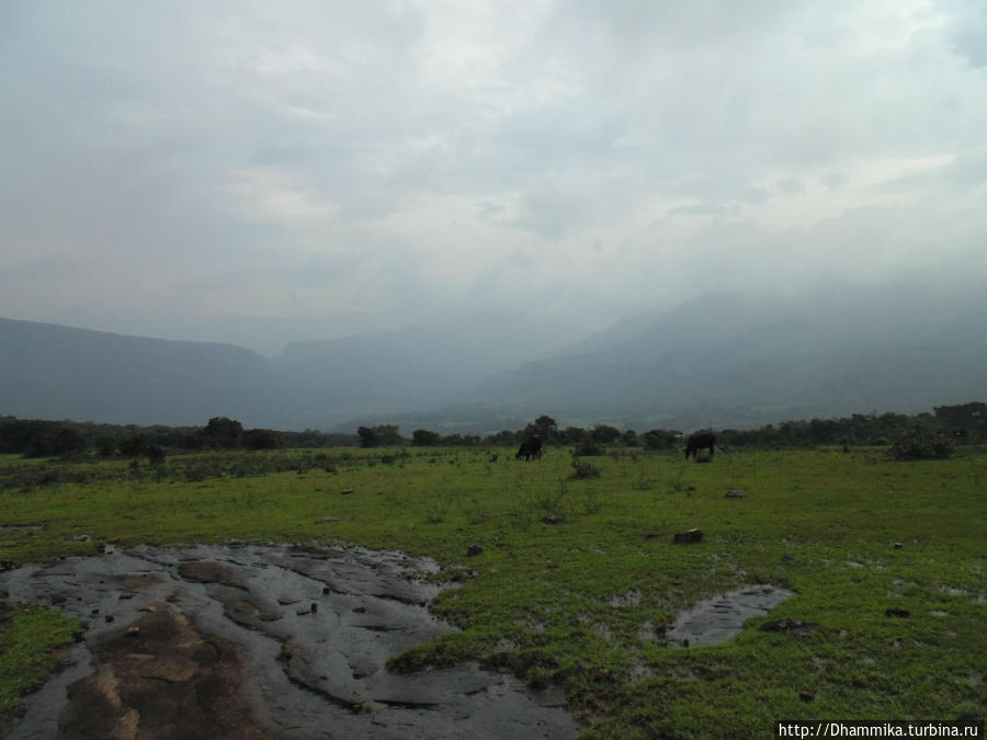 Хребет Наклс ( Knuckles Mountain Range ) Матале, Шри-Ланка