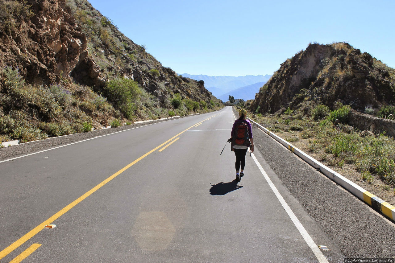 Трехдневный поход в каньон Колка (Colca). День первый Чивай, Перу