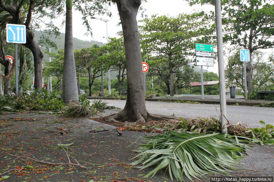 Последствия стихии Сен-Дени, Реюньон