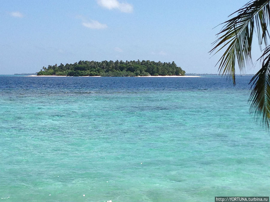 Мальдивы
