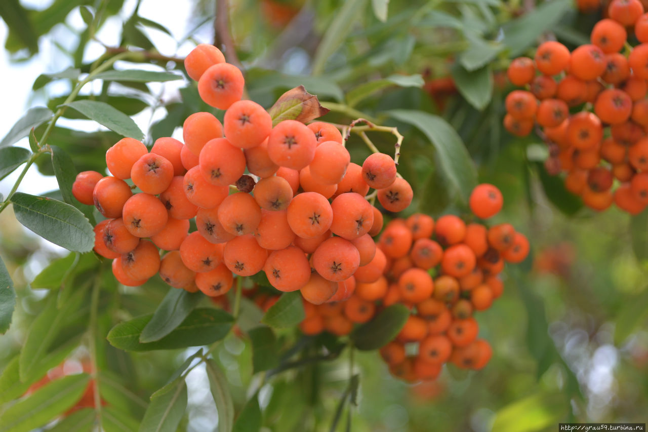 Саратов Россия