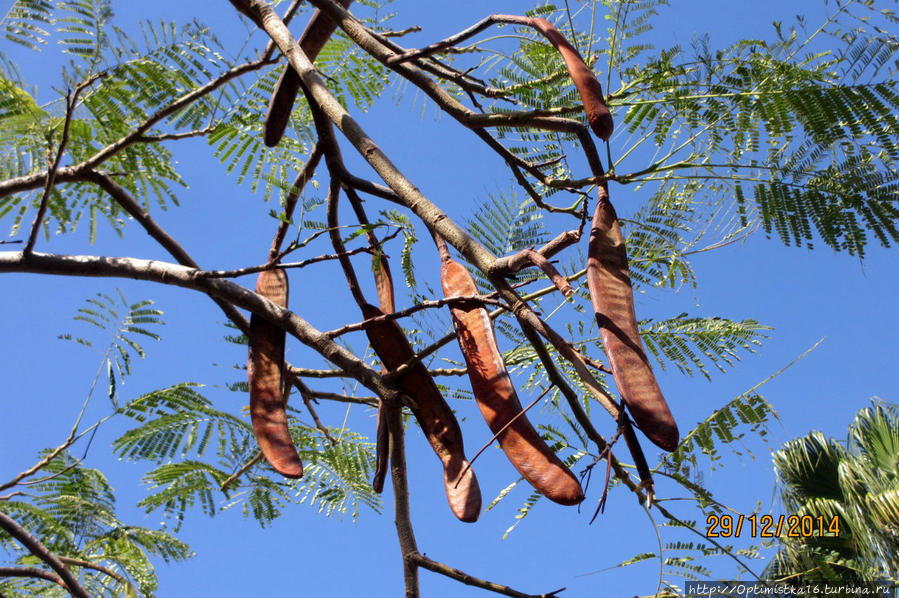 Праздники: Ханука, Рождество, Новый Год. И опять Рождество!