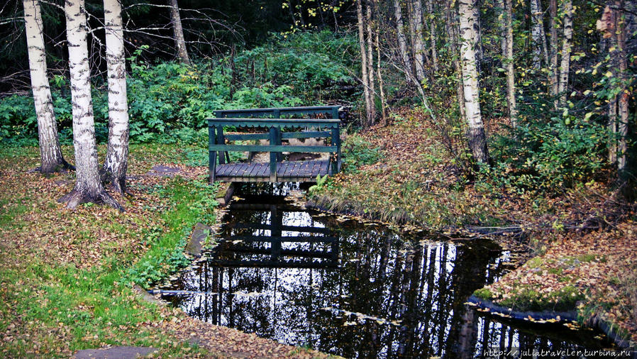Мистический лес в Париккала Париккала, Финляндия