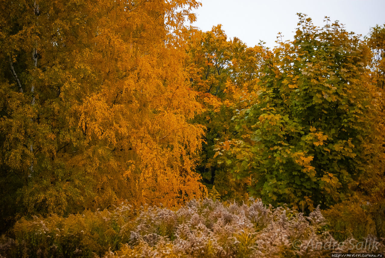 Красивая осень!!! Рига, Латвия