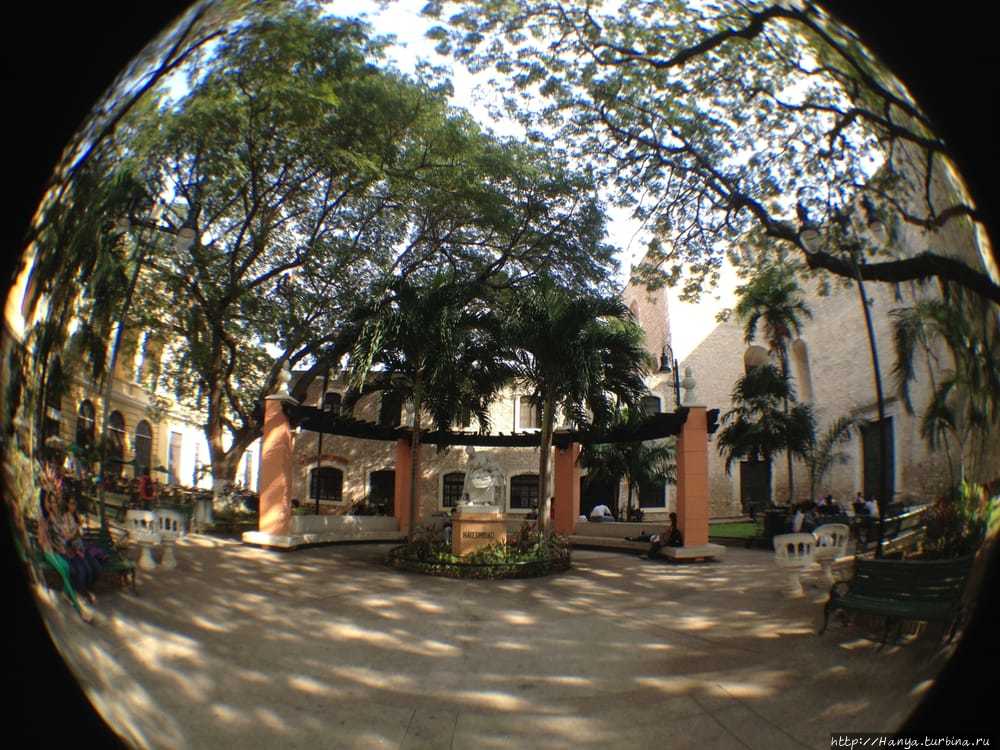 Из интернета