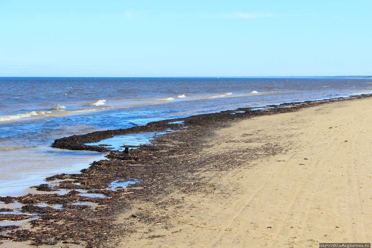 В Юрмалу в мае Юрмала, Латвия