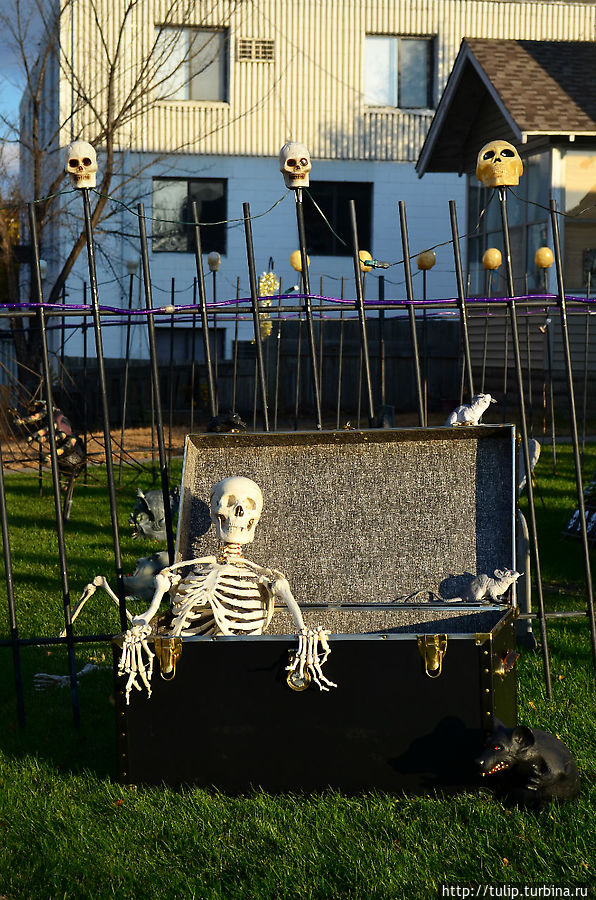 Столица Хэллоуина Анока, CША