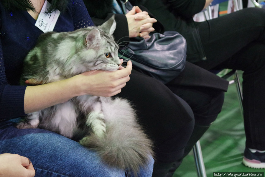 Самые  любимые... Южно-Сахалинск, Россия