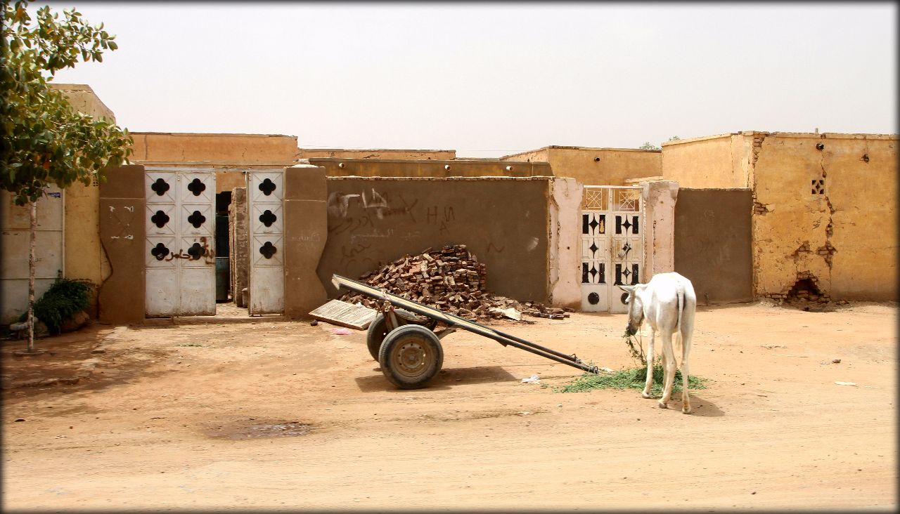 Дорожные зарисовки — Судан Шенди, Судан