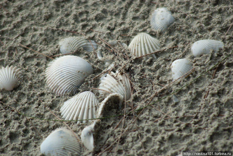 ЮВА 2012 — день 6 — Ко Чанг Остров Ко-Чанг, Таиланд