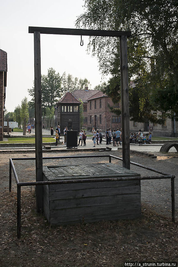 Мой Освенцим Освенцим, Польша