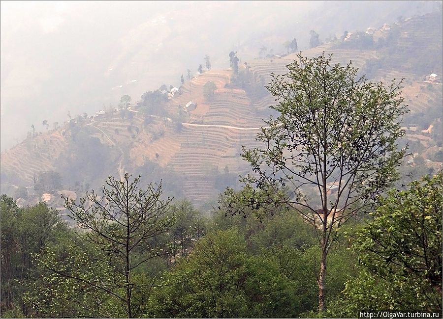 Туман плотно накрывал всю округу, так что рассмотреть что-либо, тем более горы,  абсолютно было невозможно Чангу-Нароян, Непал